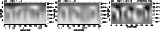 \begin{figure}
\mbox{
\includegraphics[width=27mm,clip,angle=270]{h2462f9a.ps}\i...
...62f9b.ps}\includegraphics[width=24mm,clip,angle=270]{h2462f9c.ps} }
\end{figure}