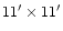 $11^{\prime}\times 11^{\prime}$