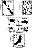 \begin{figure}\includegraphics[width=18cm,clip]{ms10628f2_2e.eps}
\end{figure}