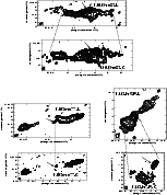 \begin{figure}\includegraphics[width=18cm,clip]{ms10628f2_12e.eps}
\end{figure}