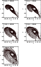 \begin{figure}
\includegraphics[width=7.2cm,clip]{fig8.ps}
\end{figure}