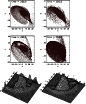 \begin{figure}
\par\includegraphics[width=7.5cm,clip]{fig13.ps}
\end{figure}