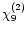 $\chi _9^{(2)}$