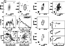 \begin{figure}\par\includegraphics[angle=-90,width=12cm,clip]{figA13b.ps}\par\end{figure}