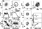 \begin{figure}\par\includegraphics[angle=-90,width=12cm,clip]{figA17b.ps}\par\end{figure}