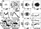 \begin{figure}\par\includegraphics[angle=-90,width=12cm,clip]{figA21b.ps}\par\end{figure}