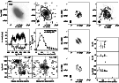 \begin{figure}\par\includegraphics[angle=-90,width=12cm,clip]{figA26b.ps}\par\end{figure}