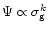 $\Psi \propto \sigma ^{k}_{\rm g}$