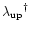 ${\lambda_{\rm up}}^\dagger$