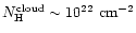 $N_{\rm H}^{\rm cloud} \sim 10^{22}\ \rm cm^{-2}$