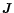 $\vec{J}$
