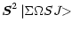 $\displaystyle \vec{S}^{2}\,\vert{\Sigma}{\Omega} S J{\makebox[1.5ex][l]{\hspace{-0.1ex}$>$ }}$