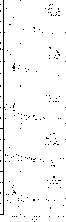 \begin{figure}
\includegraphics[width=6cm,clip]{Fig4.eps}
\end{figure}