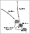 \begin{figure}
\par\resizebox{7cm}{!}{\includegraphics{MS1142f9.eps}} \end{figure}