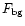 $F_{\rm bg}$