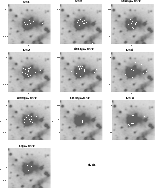 \begin{figure}
\par\includegraphics[width=18cm,height=22cm,clip]{fig2a.eps}
\end{figure}