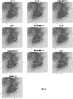 \begin{figure}
\par\includegraphics[width=17.5cm,clip]{fig2c.eps}
\end{figure}