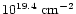 $10^{19.4}\ {\rm cm^{-2}}$