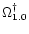 $\Omega^{\dag }_{1.0}$