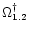 $\Omega^{\dag }_{1.2}$