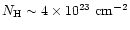 $N_{\rm H}\sim 4\times 10^{23}\rm\ cm^{-2}$