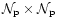 ${\mathcal N}_{\rm p} \times {\mathcal N}_{\rm p}$