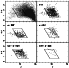 \begin{figure}
\par\resizebox{\hsize}{!}{\includegraphics{MS1065f5.ps}} \end{figure}