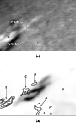 \begin{figure}
\par\subfigure[]{\includegraphics[width=8.8cm,clip]{fig7a.eps} }
\par\subfigure[]{\includegraphics[width=8.8cm,clip]{fig7b.ps} }\end{figure}