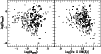 \begin{figure}
\par\includegraphics[width=8.8cm,clip]{o5007.eps}
\end{figure}