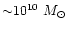 ${\sim} 10^{10}~M_\odot$