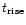 $t_{\rm rise}$