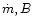 $\dot m, B$