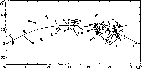 \begin{figure}
\par\includegraphics[width=12.6cm,clip]{10520f2.eps}\end{figure}