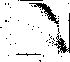 \begin{figure}
\par\includegraphics[width=8.1cm,clip]{fig16.eps}
\end{figure}