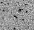 \begin{figure}
\par\resizebox{\hsize}{!}{\includegraphics{ms10473f3.eps}}\end{figure}