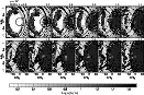 \begin{figure}
\par\includegraphics[width=12cm]{MS1098f10.eps}\end{figure}