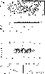 \begin{figure}
\includegraphics[width=10cm,clip]{fig4.eps}
\end{figure}