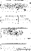 \begin{figure}
\includegraphics[width=14cm,clip]{fig6a.eps}
\end{figure}