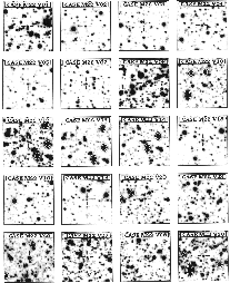 \begin{figure}\par\includegraphics[width=18cm,clip]{fig1a.eps}\end{figure}