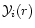 ${\cal Y}_i(r)$