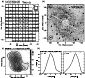 \begin{figure}
\resizebox{\hsize}{!}{\includegraphics{H2416F12.PS}}\end{figure}