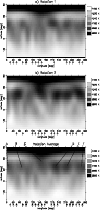 \begin{figure}
\par\includegraphics[width=8.7cm,clip]{h2718f5a.eps}\vspace{3mm}
...
...b.eps}\vspace{3mm}
\includegraphics[width=8.7cm,clip]{h2718f5c.eps}
\end{figure}