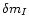 $\delta m_{I}$