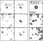 \begin{figure}
\par\epsfig{file=SN4.eps,height=7cm,width=7.4cm} \end{figure}