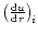 $\left(\frac{{\rm d}u}{{\rm d}r}\right)_{\!i}$