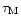 $\tau_{\rm M}$