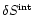 $\delta S^{\rm int}$