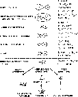\begin{figure}
\par\includegraphics[width=10cm,clip]{fig01.eps}
\end{figure}