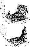 \begin{figure}
\par\includegraphics[width=8.8cm,clip]{ms1121f4a.eps}\
\includegraphics[width=8.8cm,clip]{ms1121f4b.eps} \end{figure}