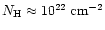 $N_{\rm H} \approx 10^{22}\;{\rm cm^{-2}}$